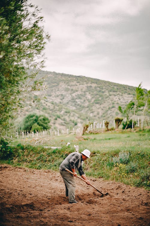 Fotos de stock gratuitas de agricultor, al aire libre, cesped alto