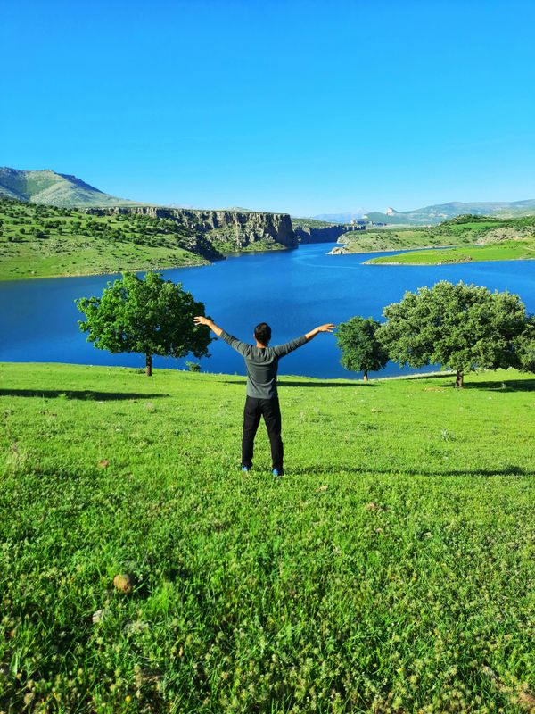 Persona con brazos abiertos en naturaleza verde, libre y llena de vida