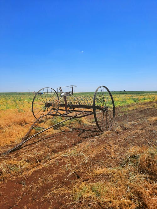 Imagine de stoc gratuită din agricultură, câmp, fotografiere verticală