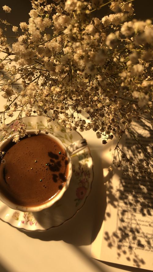 Free Soft morning light on coffee beside delicate white flowers and open book. Stock Photo