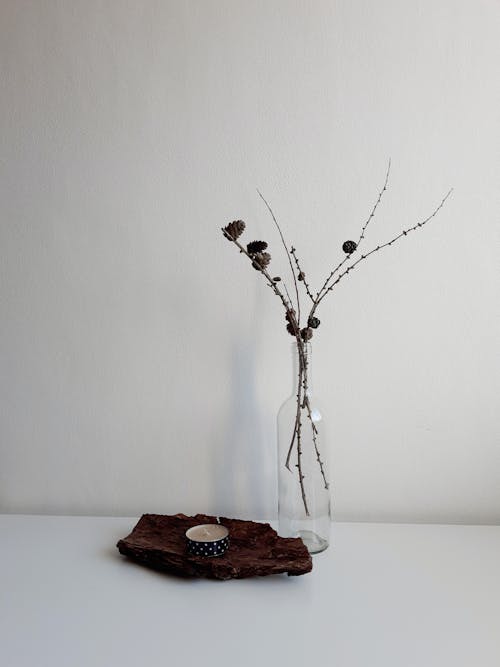 Dry Branches on a Glass Bottle