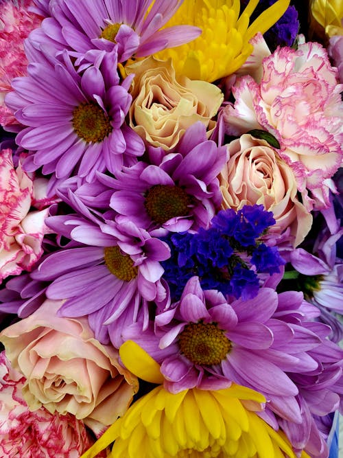 Foto profissional grátis de arranjo de flores, broto, buquê