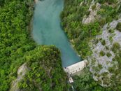 Aerial View of River Between Green Trees