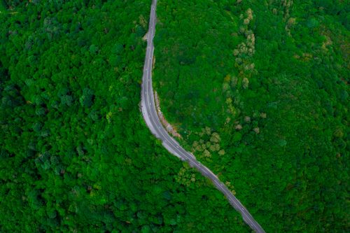 Free A stunning aerial view of a road cutting through lush green forest in Istanbul, Turkey. Stock Photo