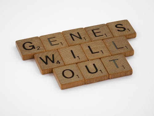 Brown Wooden Scrabble Tiles on White Surface