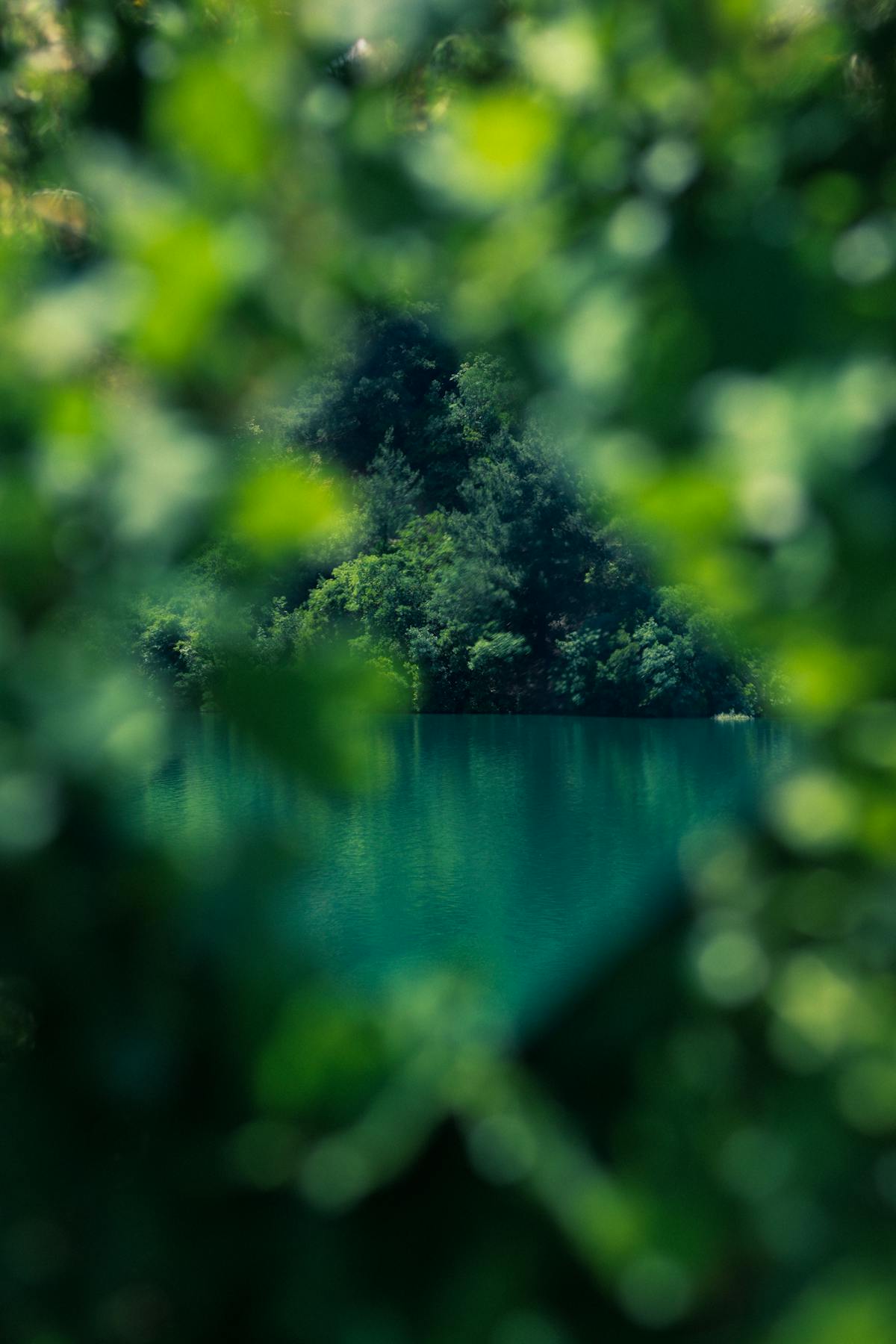 Music producer using AI tools on a laptop in a recording studio