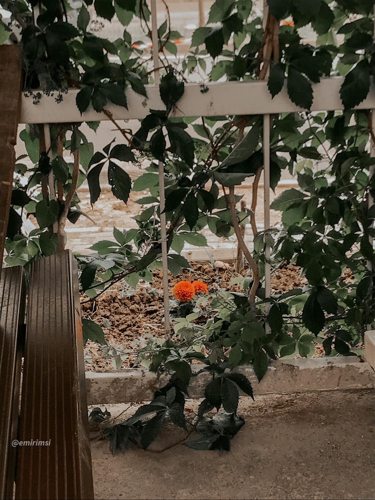 Premium Studio Rental