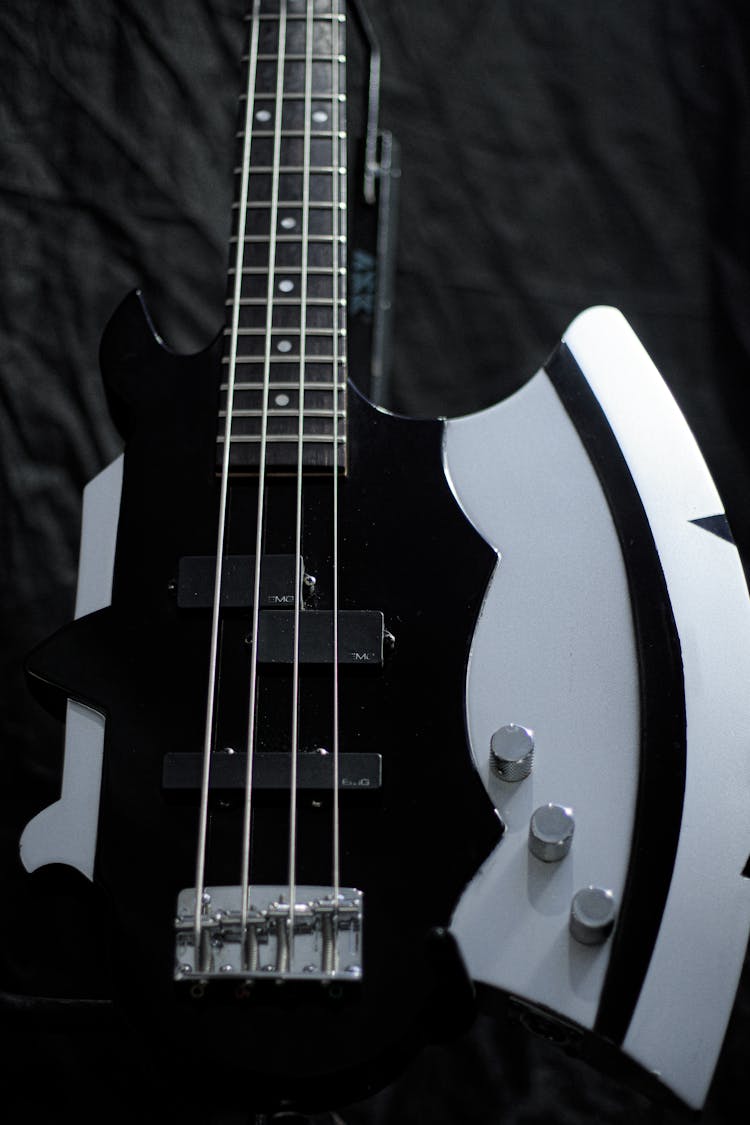 Electric Guitar In Black And White