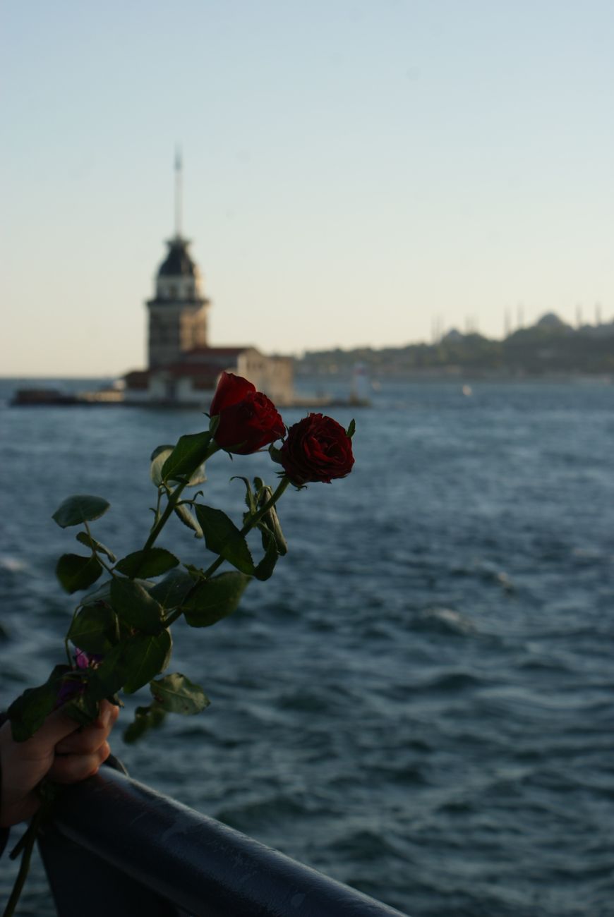 Bouquets in Istanbul 2026 — Which Flowers to Order and How to Deliver by District