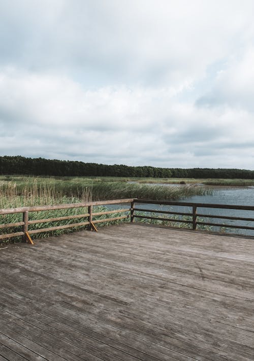Základová fotografie zdarma na téma bílé mraky, dřevěná podlaha, dřevěný plot