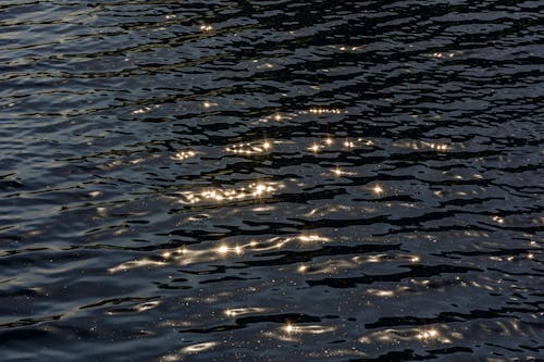 dalgalar, parlak, parlayandı içeren Ücretsiz stok fotoğraf