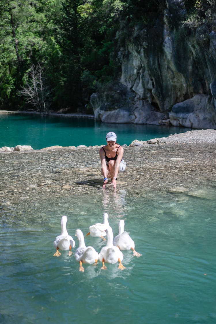 Woman Looking At Flock Of Ducks