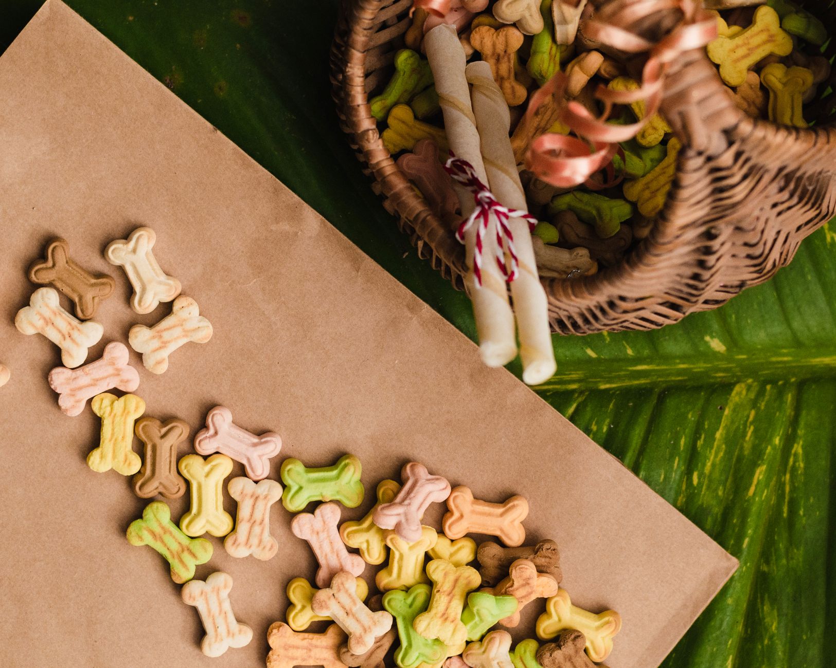 Simple, natural dog treats on a wooden background