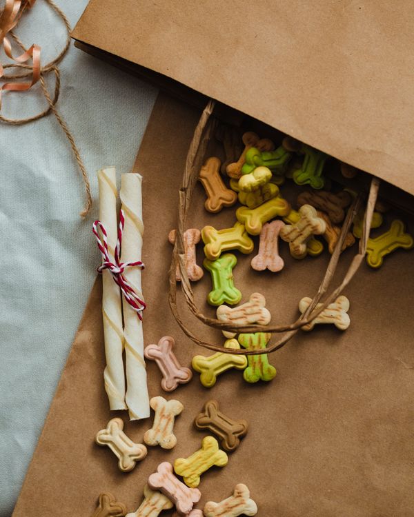 Bone-shaped biscuits spilling from a paper bag