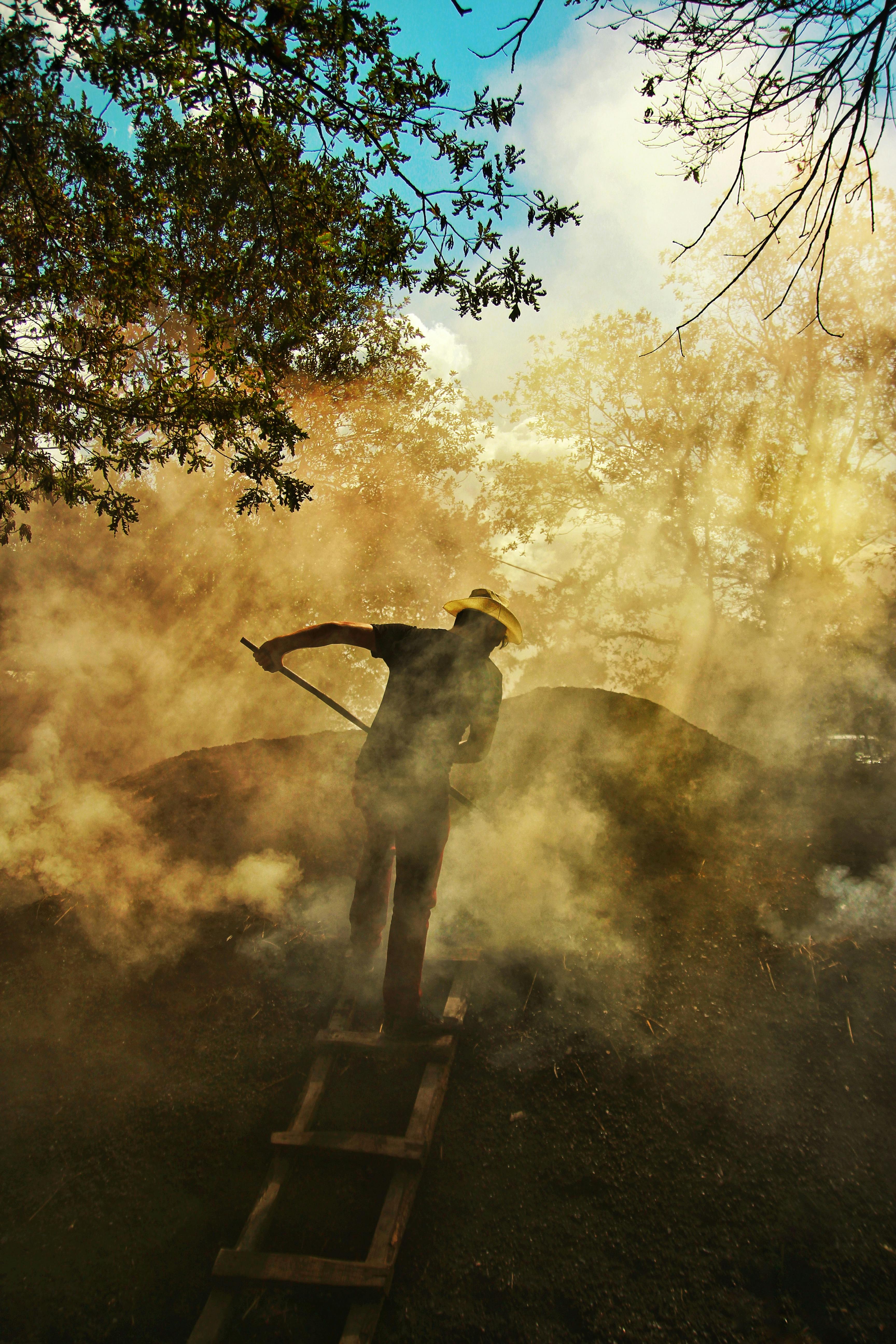 Free A backlit silhouette of a worker in a smoky forest creates a dramatic scene. Stock Photo