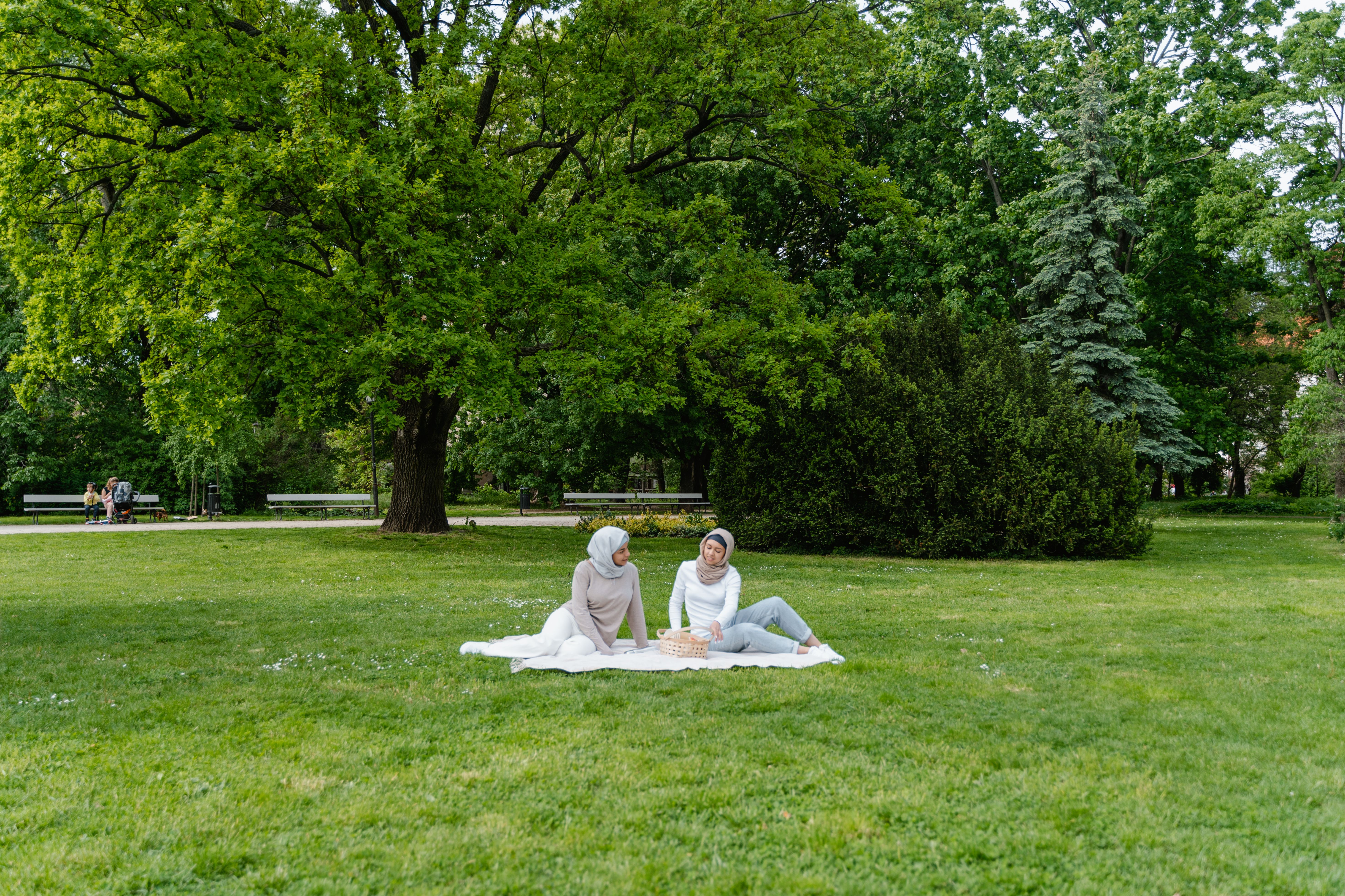 Trans Community Picnic Day