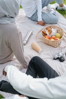 A group enjoying a casual picnic outdoors with a basket of fruits and pastries on a blanket.