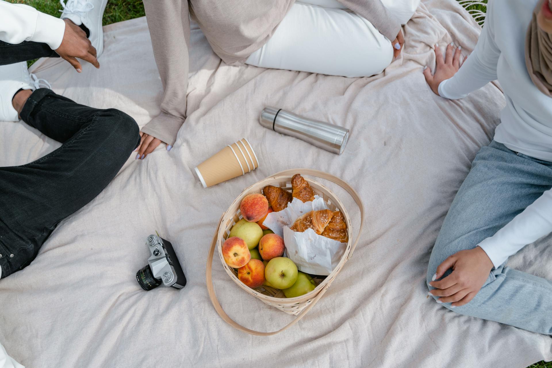 People Having a Picnic over a Picnic Blanket