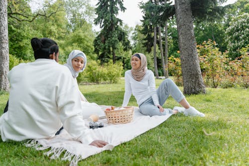 People Talking and Sitting on a Picnic Blanket on Park