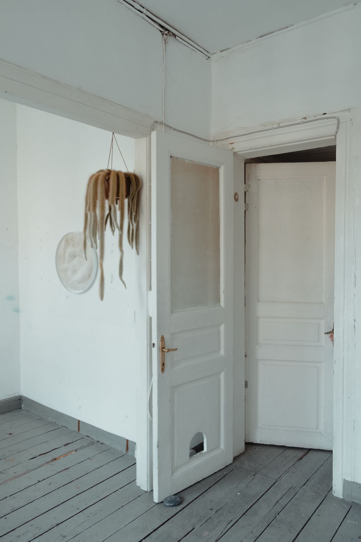 Interior Door & Trim Update — example image
