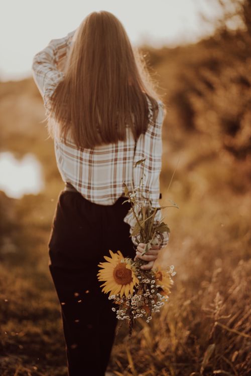 Free A woman with brown hair holds sunflowers while walking in a Romanian field during sunset. Stock Photo