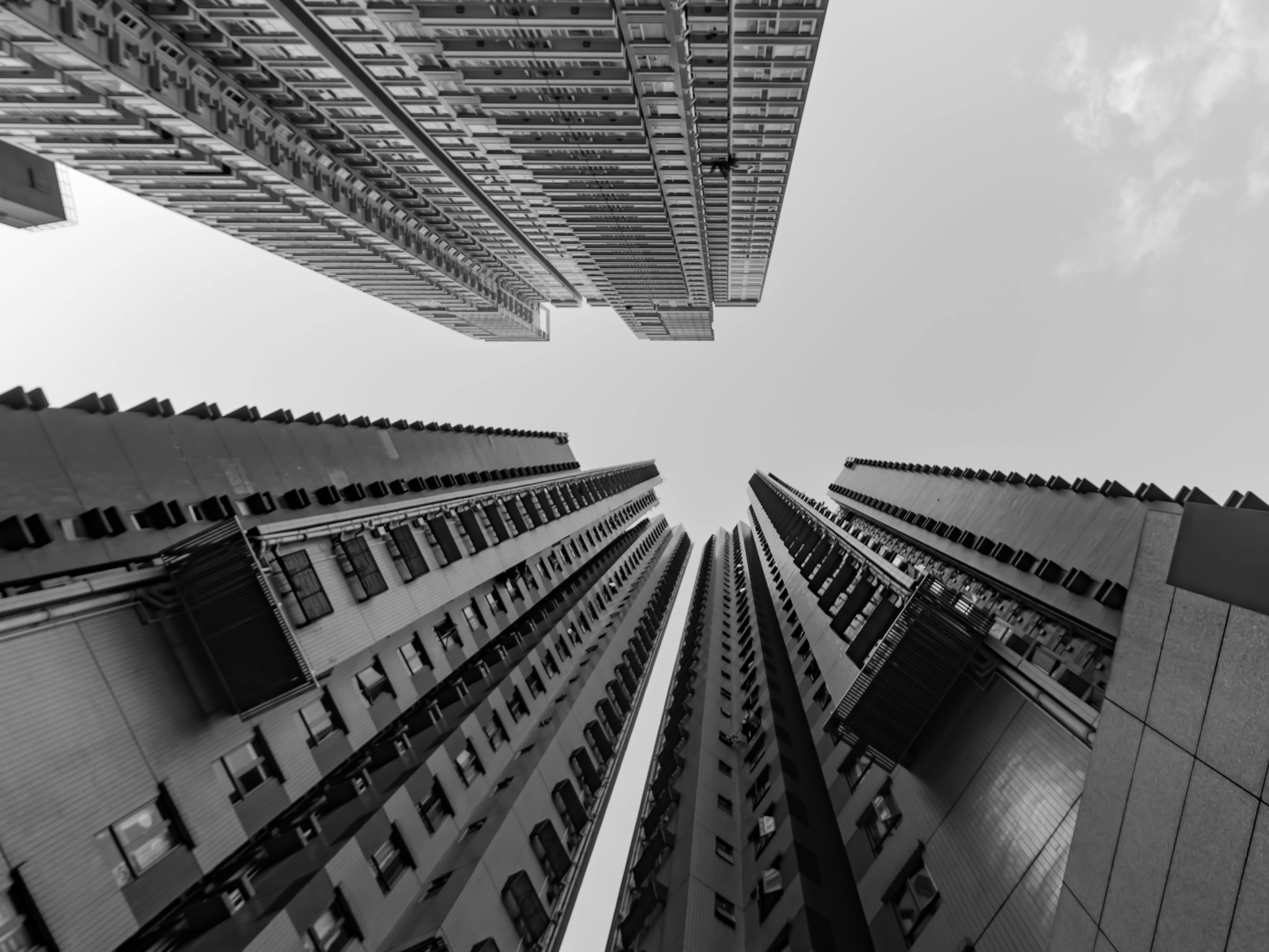 free stock photo of