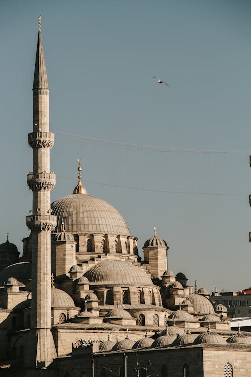 免费 一座清真寺, 伊斯坦堡, 傳統 的 免费素材图片 素材图片