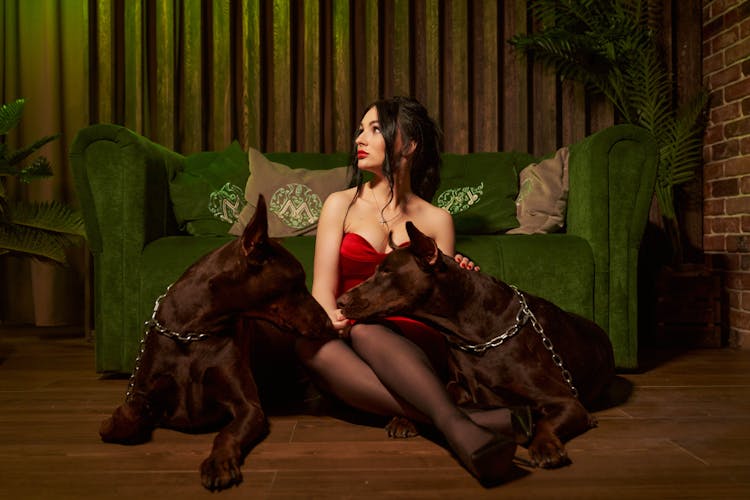 Lady Sitting On Floor Near Sofa With Doberman Dogs