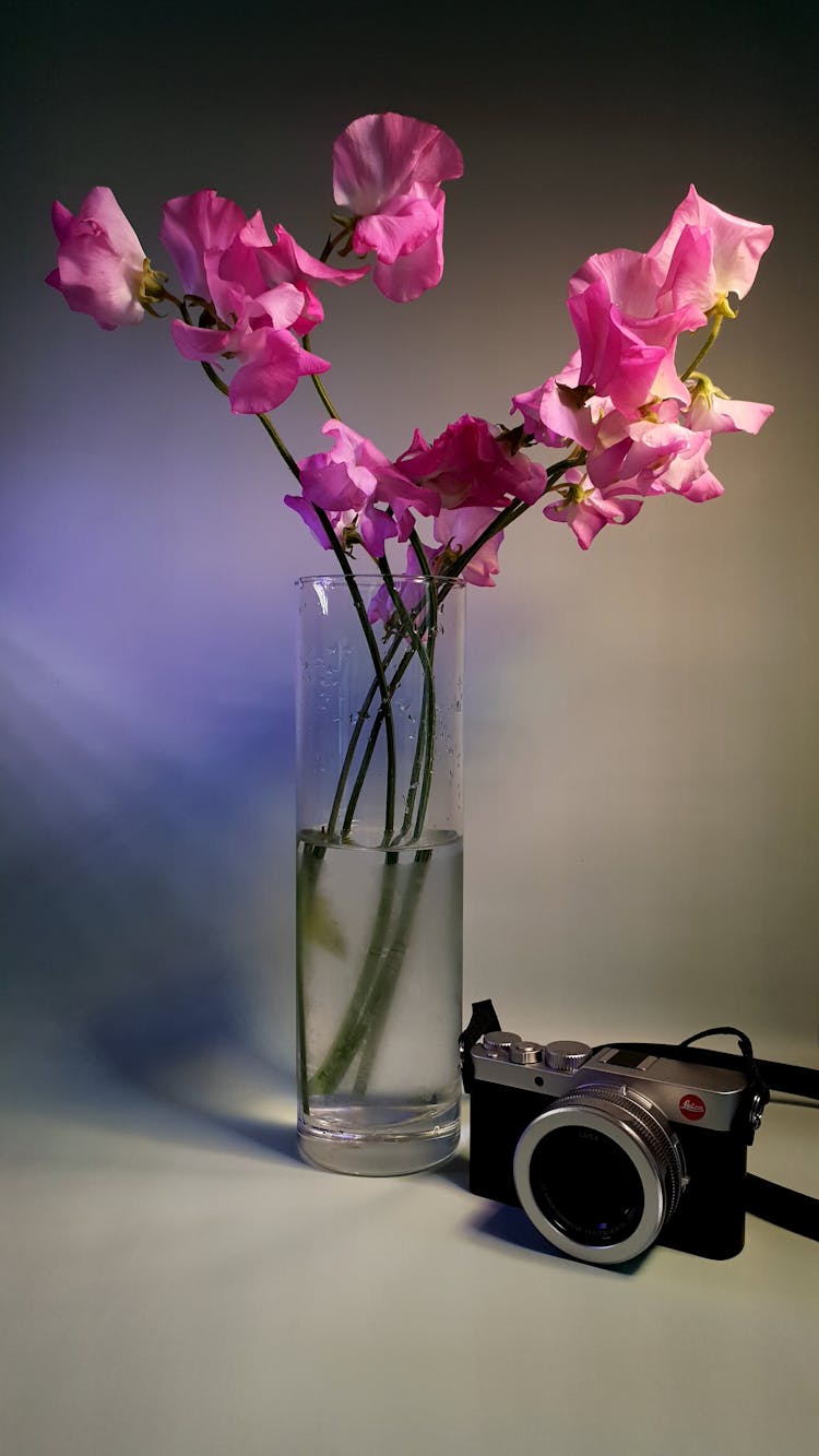 Pink Flowers In Clear Cylinder Glass Vase