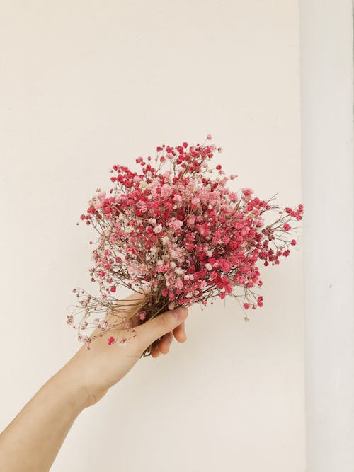 Person Holding Pin Flowers