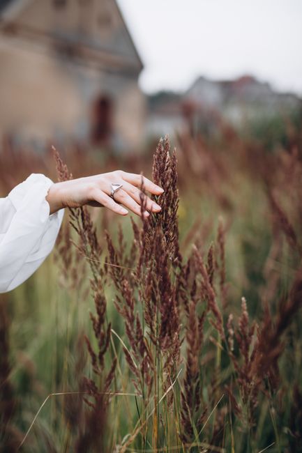 A close-up of a hand gently touching tall wheat in a rural field, capturing the essence of autumn.