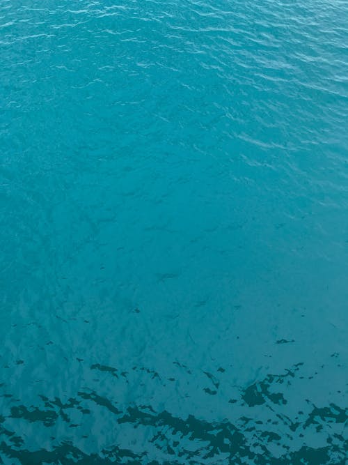 Foto stok gratis air yang tenang, bening, laut biru