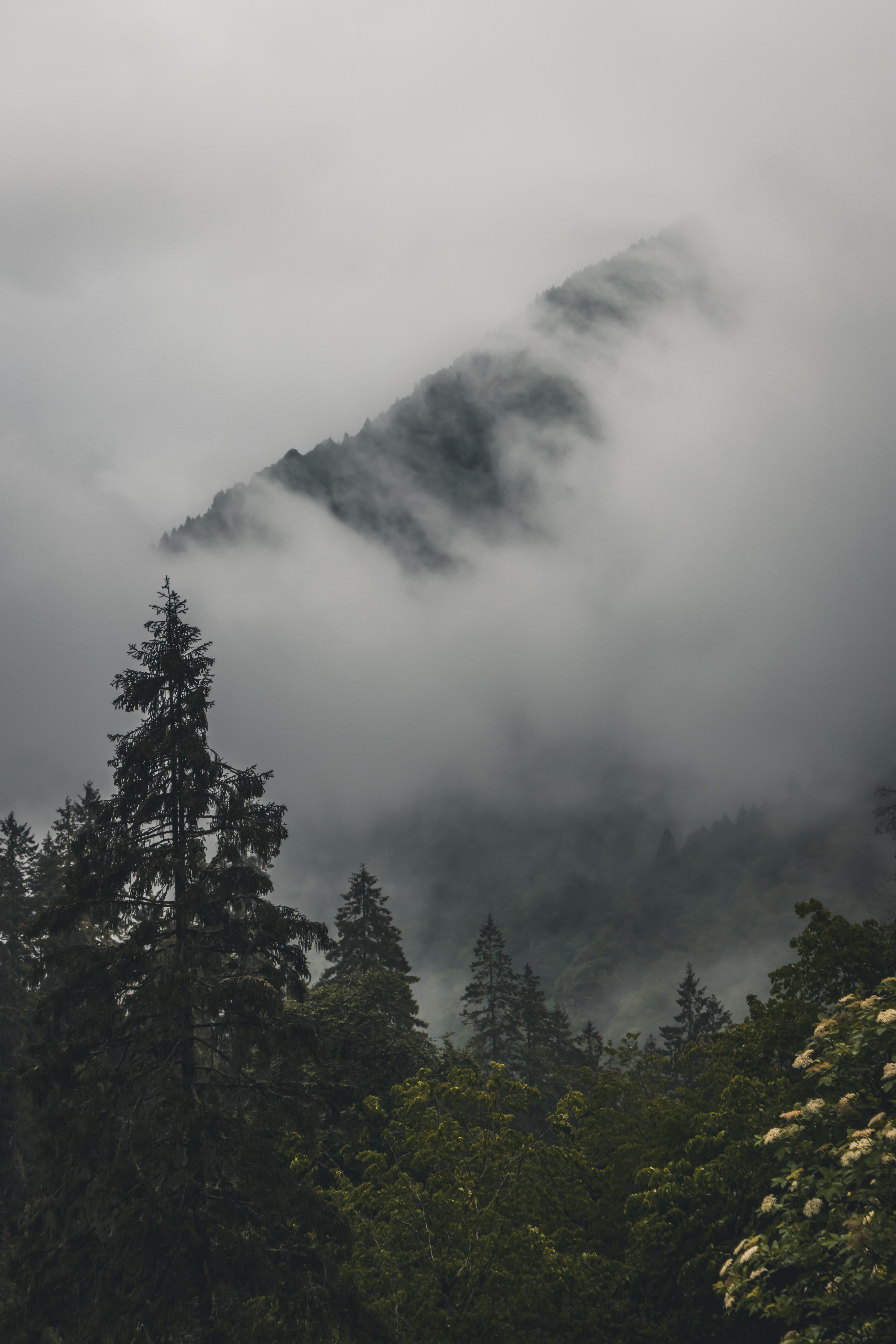 Green Trees on Mountain Under White Clouds · Free Stock Photo