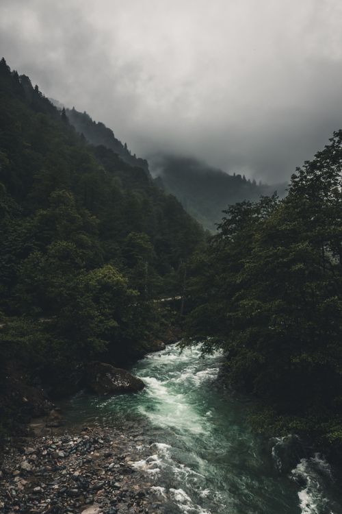 Free Dramatic view of a river cascading through lush, misty mountains in Rize, Turkey. Stock Photo