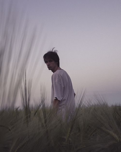 Free A contemplative young man stands in a wheat field at dawn, wearing a white T-shirt. Stock Photo