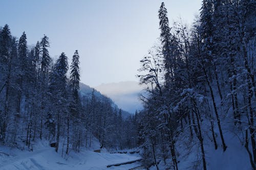 Free stock photo of alps, blue, mountains