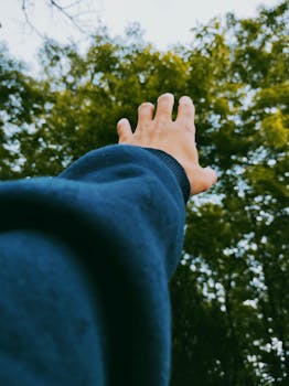 A hand extends towards the lush green canopy of a forest, captured in a dynamic upward angle.