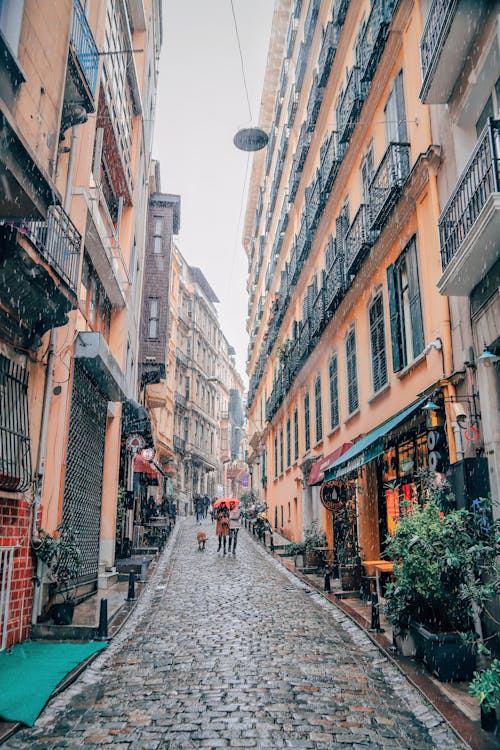 Foto d'estoc gratuïta de botigues, caminant, carrer