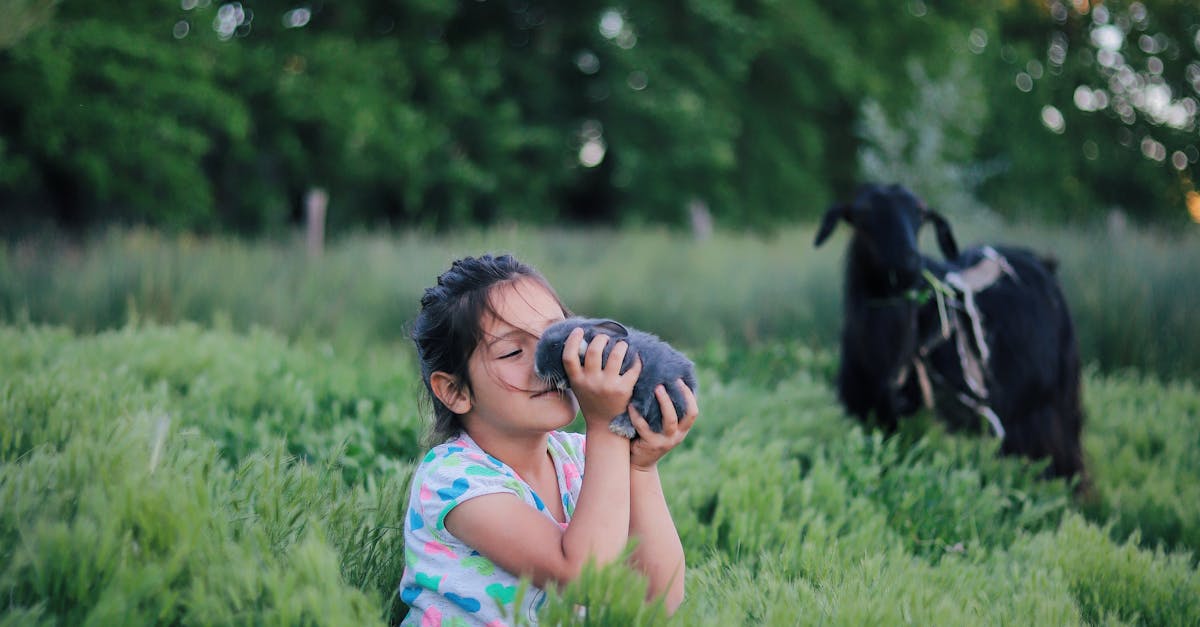 How to trade in Roblox pet sim x