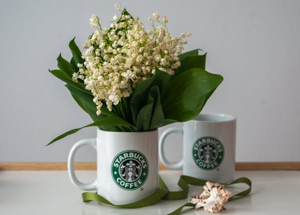 What Time Does Starbucks Open? What Is Starbucks?