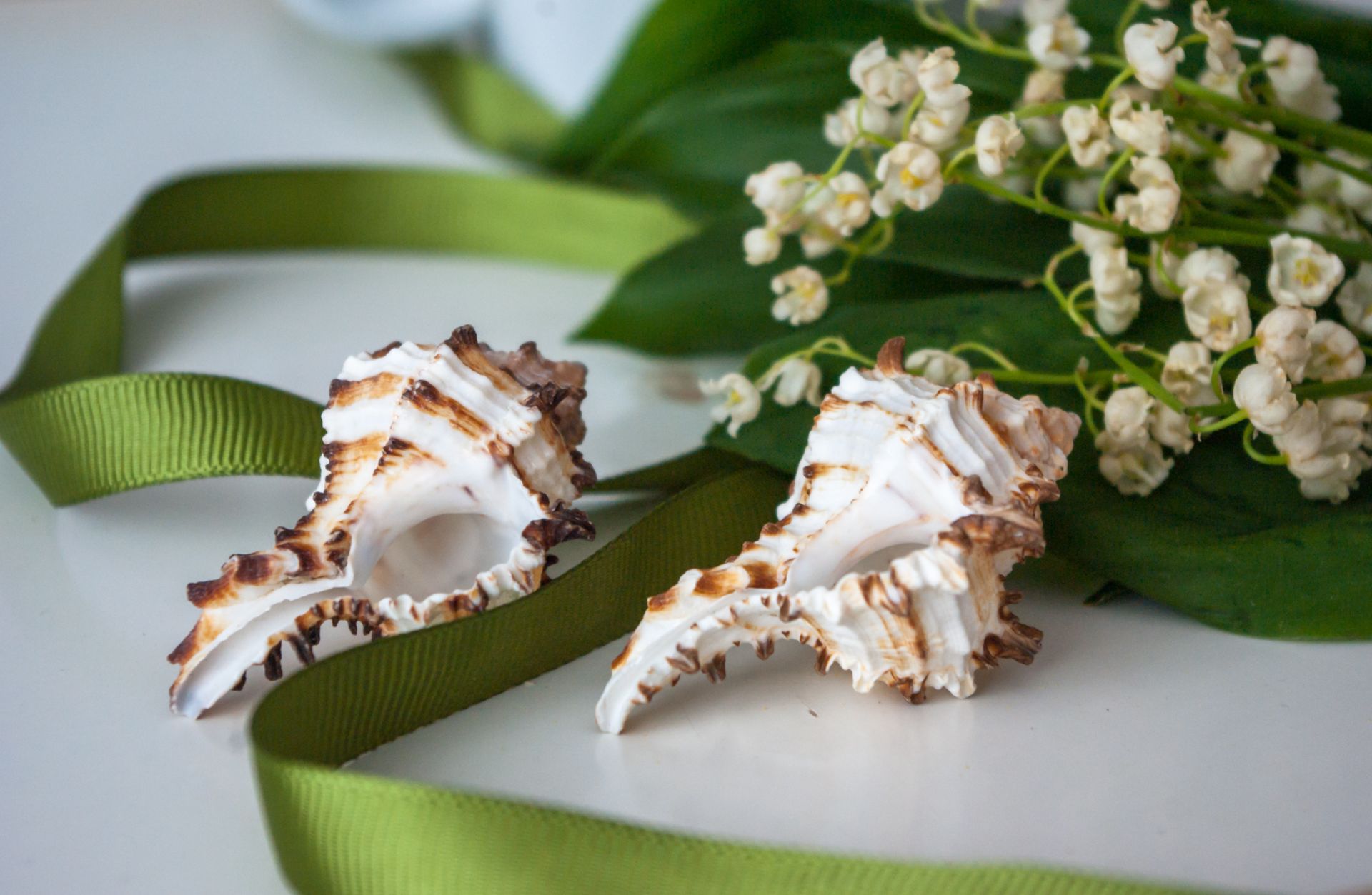 Delicate lily of the valley flowers paired with seashells and a green ribbon for a natural decor theme.