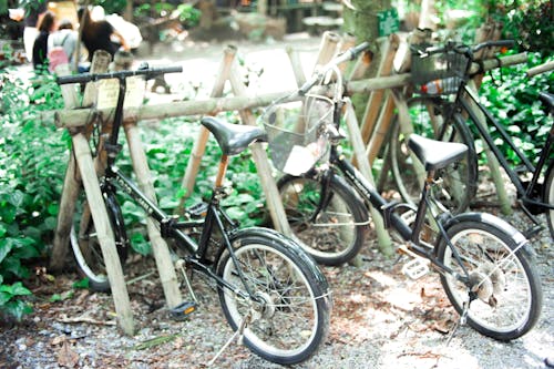 Free stock photo of bicycle, bicycle parking, nature