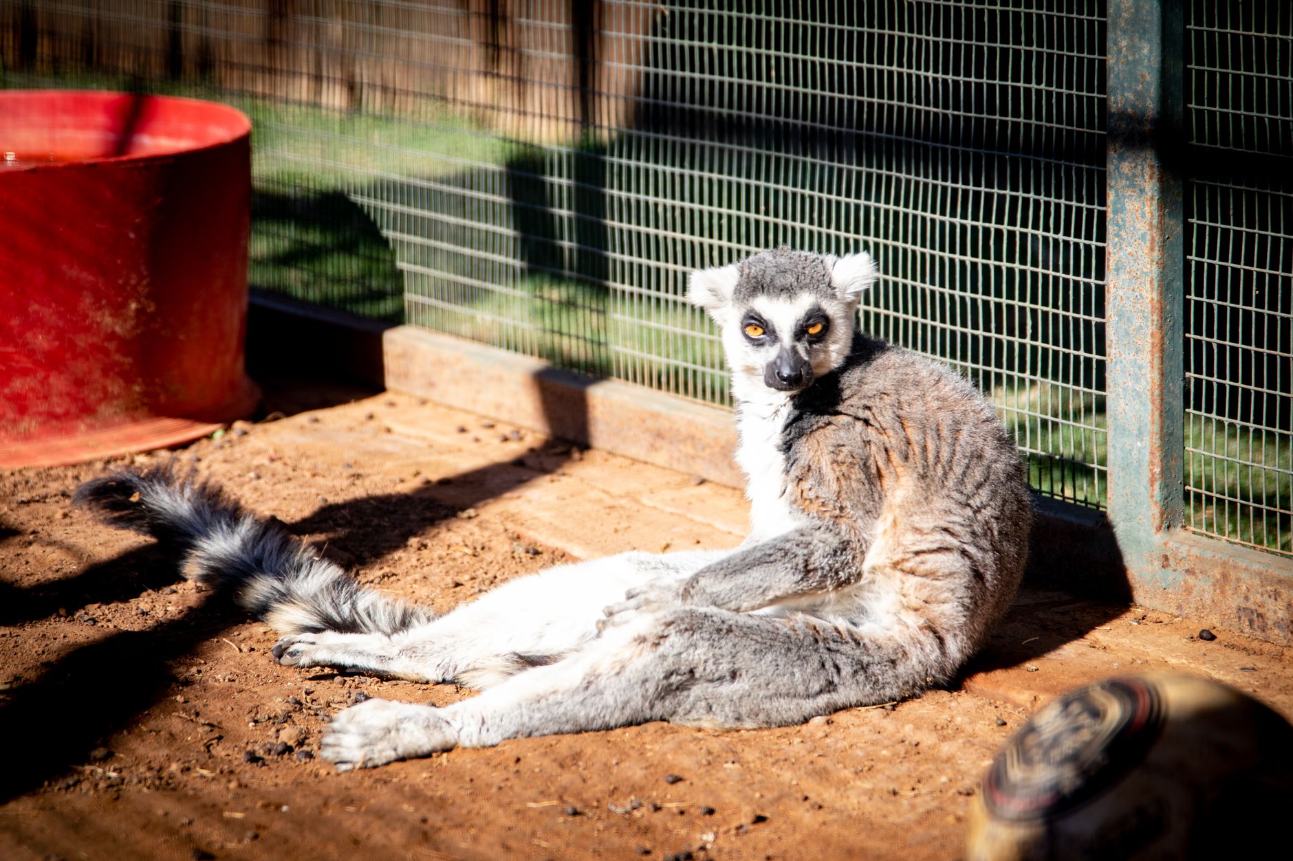 Madagascar, Madagascar