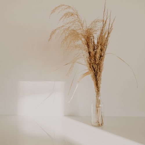Pampas grass in a slim glass vase — photo by Julia Filirovska on Pexels