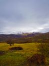 Green Grass Field Near Brown Mountain Under Gray Sky