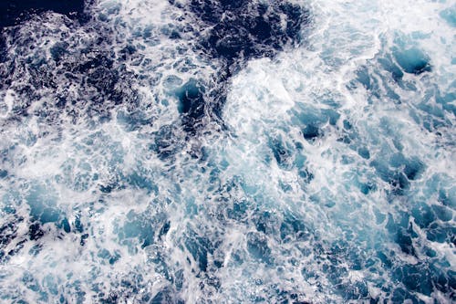 Free Kostnadsfri bild av h2O, hav, närbild Stock Photo