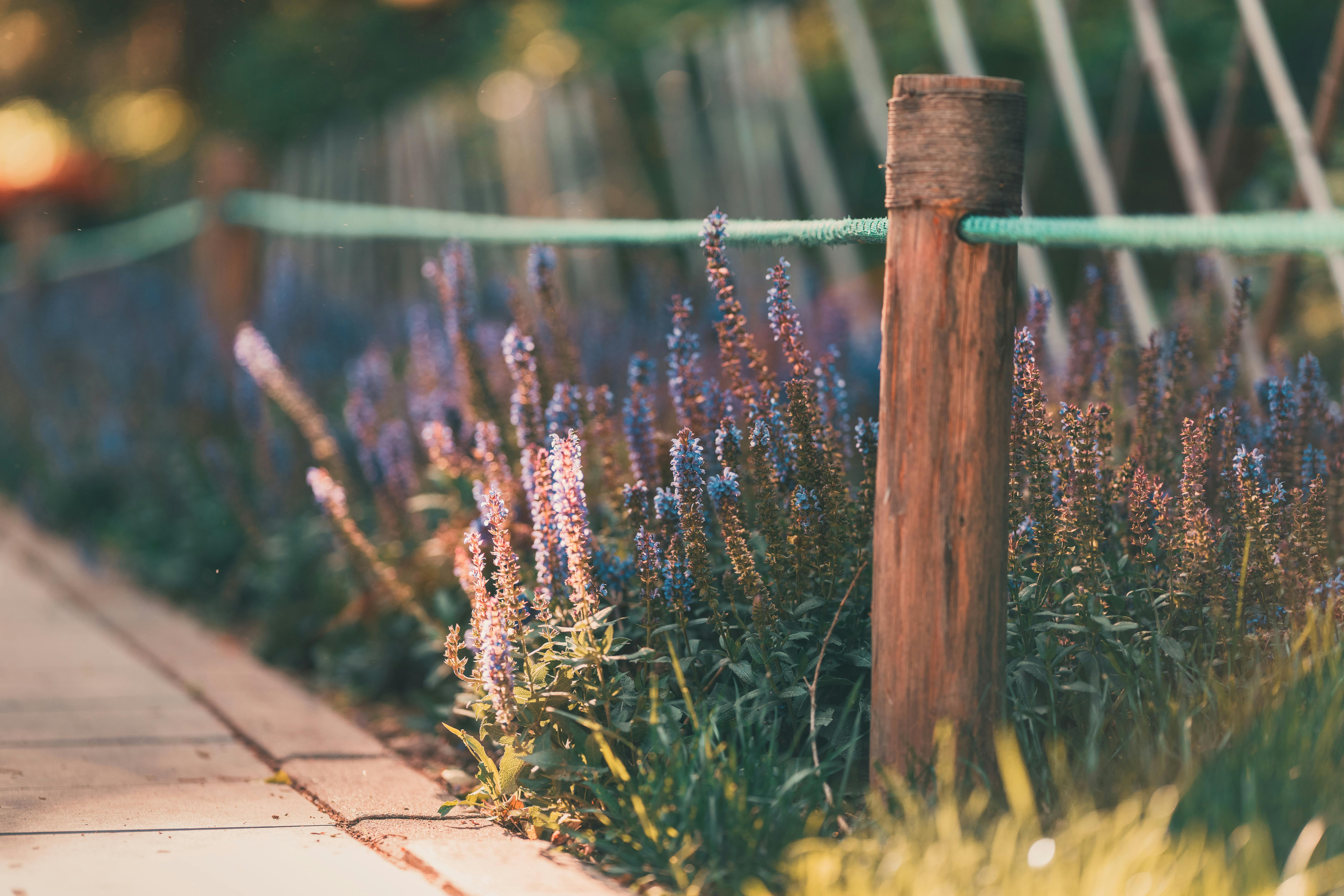 A Landscape Designer’s Favorite Gardening Tools — Photo by zhang kaiyv on Pexels