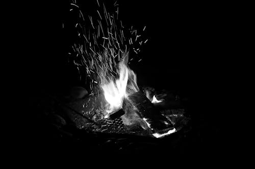 Camping Fire during Nighttime
