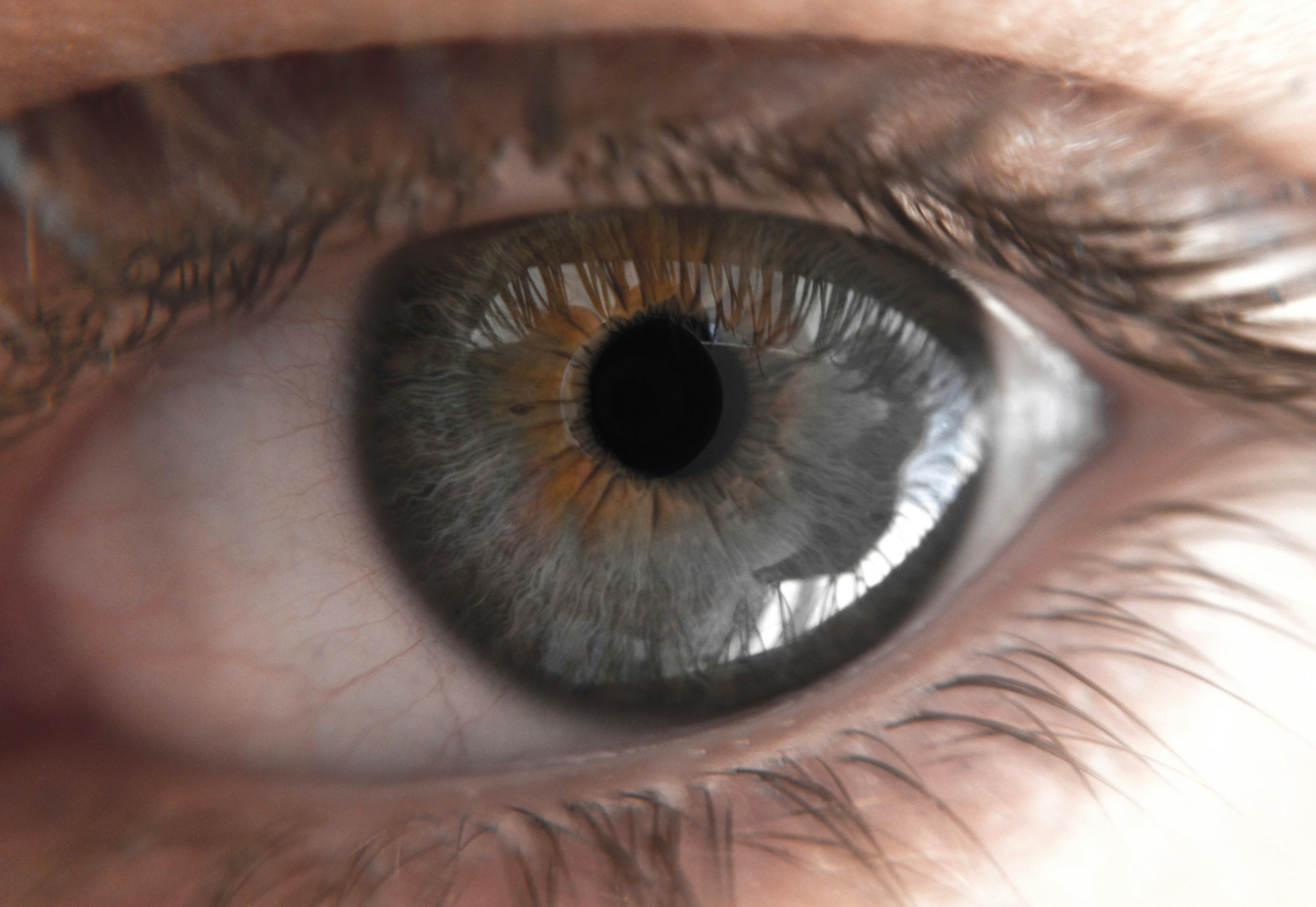 Free stock photo of blue eyes, macro, macro photo