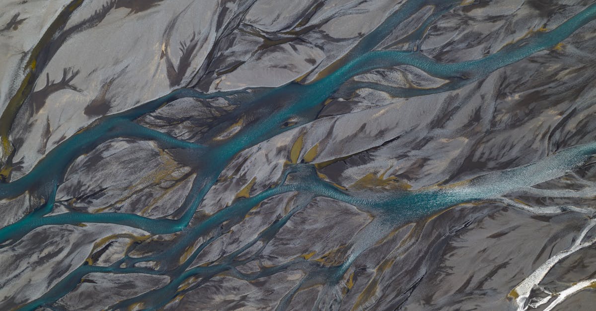 海平面下的聚落 雲林成龍濕地從鹽化廢田到國際藝術村的奇蹟轉生